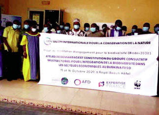 Protection de la biodiversité : « Biodev » pour freiner les menaces