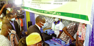 Semaine des énergies renouvelables d’Afrique : Pour une transition énergétique « réussie »