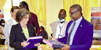 Lutte contre l’insécurité au Burkina : La Coopération suédoise et la FAO en tandem