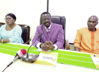 Promotion de la démocratie en Afrique : Les jeunes pour assurer la relève