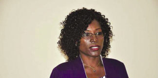 Vote de la diaspora et des déplacés internes : Des acteurs harmonisent leurs vues