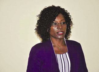 Vote de la diaspora et des déplacés internes : Des acteurs harmonisent leurs vues