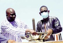 Campagne agricole sèche 2020-2021 : Plus de 130 000 tonnes de céréales attendues