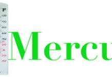 Présidentielle américaine : les vœux de l’Afrique