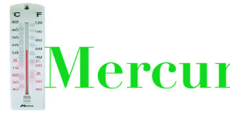 Présidentielle américaine : les vœux de l’Afrique