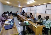 Gestion durable des terres: La Grande Muraille verte veut compter sur les médias