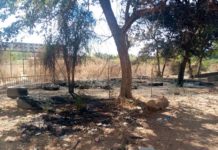 Chambre de commerce et d’industrie du Burkina Faso : Un incendie provoque une frayeur