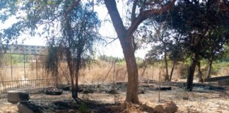 Chambre de commerce et d’industrie du Burkina Faso : Un incendie provoque une frayeur