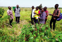 Site du parc d’innovation de Bagrépôle