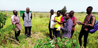 Site du parc d’innovation de Bagrépôle