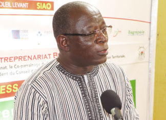 Journées de l’entrepreneuriat burkinabè : L’éclosion des entreprises au cœur de l’édition 2020