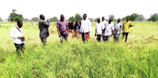 Une nouvelle technologie pour accroître la production