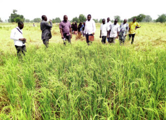 Une nouvelle technologie pour accroître la production