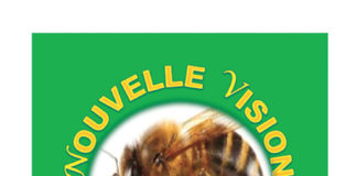 Message de campagne du regroupement d’Indépendants Nouvelle Vision