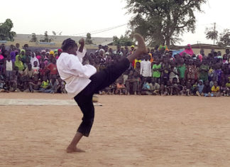 Viet vudao club Siguian: une quinzaine d’athlètes médaillés