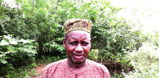 Occupation des pistes à bétail dans le Mouhoun et les Cascades : L’élevage, otage des exploitations agricoles