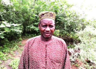 Occupation des pistes à bétail dans le Mouhoun et les Cascades : L’élevage, otage des exploitations agricoles