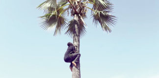 « La montée du rônier » : La trouvaille du comité d’organisation du 11-Décembre 2020