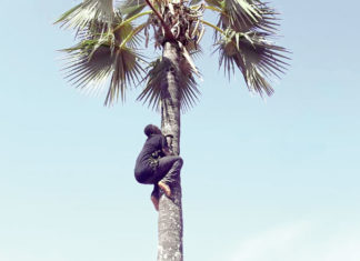 « La montée du rônier » : La trouvaille du comité d’organisation du 11-Décembre 2020