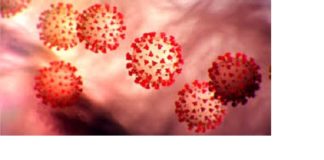 Covid-19: l’innocuité d’apivirine prouvée