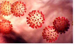 Covid-19: l’innocuité d’apivirine prouvée