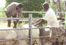 Programme d’investissement forestier au Centre-Ouest