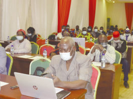 Sensibilisation aux aflatoxines : Les acteurs réfléchissent aux mécanismes de lutte