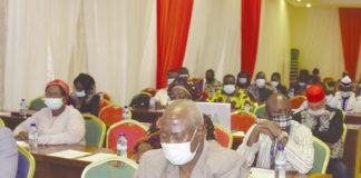 Sensibilisation aux aflatoxines : Les acteurs réfléchissent aux mécanismes de lutte