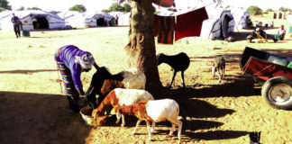 Résilience des déplacés internes: l’ONG Help fait le point de son accompagnement