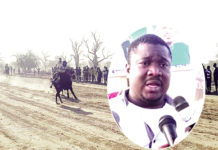 Mini-championnat hippique Neema : la sensation Djamila