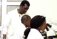 Lutte contre le paludisme au Burkina Faso : Le champignon génétiquement modifié, un remède miracle ?