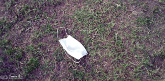 Actu vert : les cache-nez polluent notre cadre de vie !