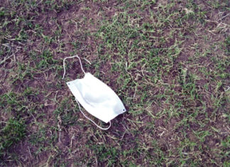 Actu vert : les cache-nez polluent notre cadre de vie !