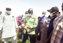 Résilience des déplacés internes dans le Nord : 200 femmes produisent désormais de la pomme de terre