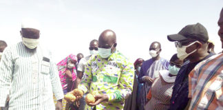 Résilience des déplacés internes dans le Nord : 200 femmes produisent désormais de la pomme de terre