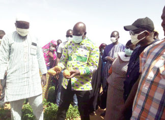 Résilience des déplacés internes dans le Nord : 200 femmes produisent désormais de la pomme de terre