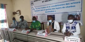 Ioba: Le charbon bactéridien fait deux morts à Guéguéré