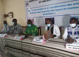 Ioba: Le charbon bactéridien fait deux morts à Guéguéré