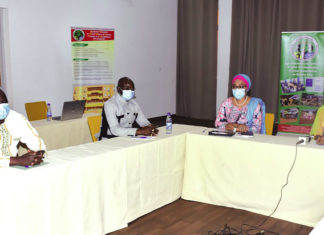 Crise humanitaire au Burkina Faso : 2,4 millions de personnes prises en charge en 2020