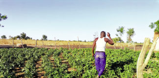 Retour au bercail des déplacés internes du Nord « Au moins, je suis sûr de mourir chez moi »