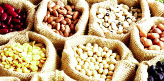 Journée mondiale des légumineuses : Célébrer les vertus des céréales super-protéinées
