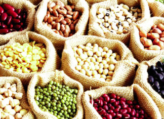 Journée mondiale des légumineuses : Célébrer les vertus des céréales super-protéinées