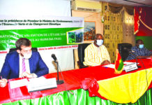 Promotion des produits forestiers non ligneux : L’étude sur les espèces aromatiques validée