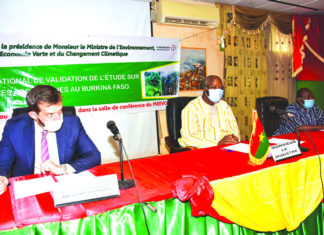 Promotion des produits forestiers non ligneux : L’étude sur les espèces aromatiques validée