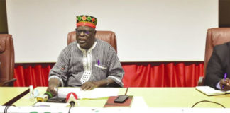 Développement du Burkina : Des scientifiques montrent les clés de réussite