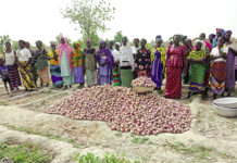 Réalisations du projet EBA-FEM : A Ténado, les bénéficiaires plaident pour la consolidation des acquis