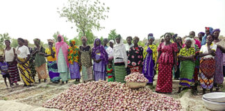 Réalisations du projet EBA-FEM : A Ténado, les bénéficiaires plaident pour la consolidation des acquis