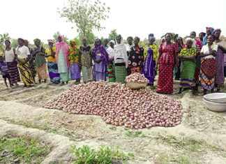 Réalisations du projet EBA-FEM : A Ténado, les bénéficiaires plaident pour la consolidation des acquis