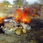 Commune de Ouagadougou : Plus 700 kg de poulets avariés incinérés