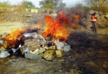 Commune de Ouagadougou : Plus 700 kg de poulets avariés incinérés